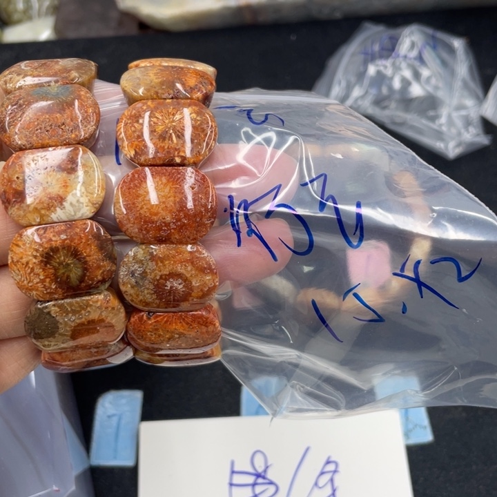 行***水颈饰合金硅化珊瑚（珊瑚玉）