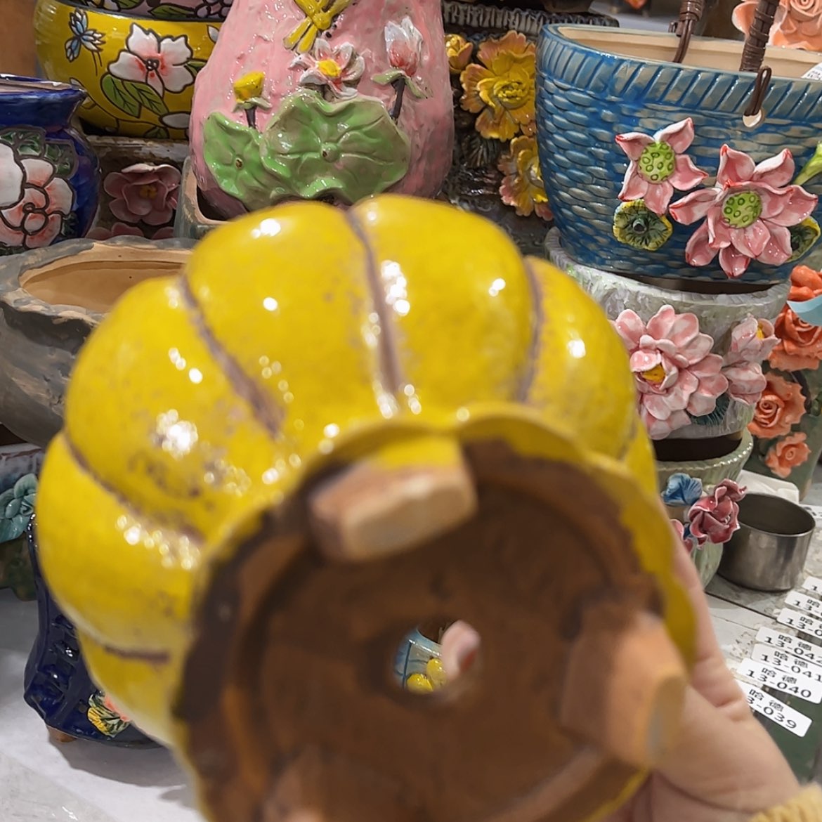 【闪购商品】红陶福利