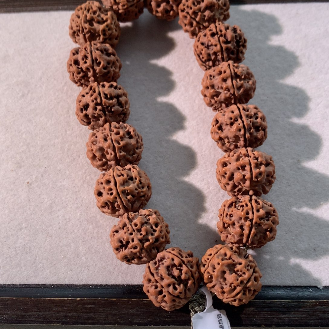 吊坠金刚菩提【野王】镂空矮桩22尺寸精品头货