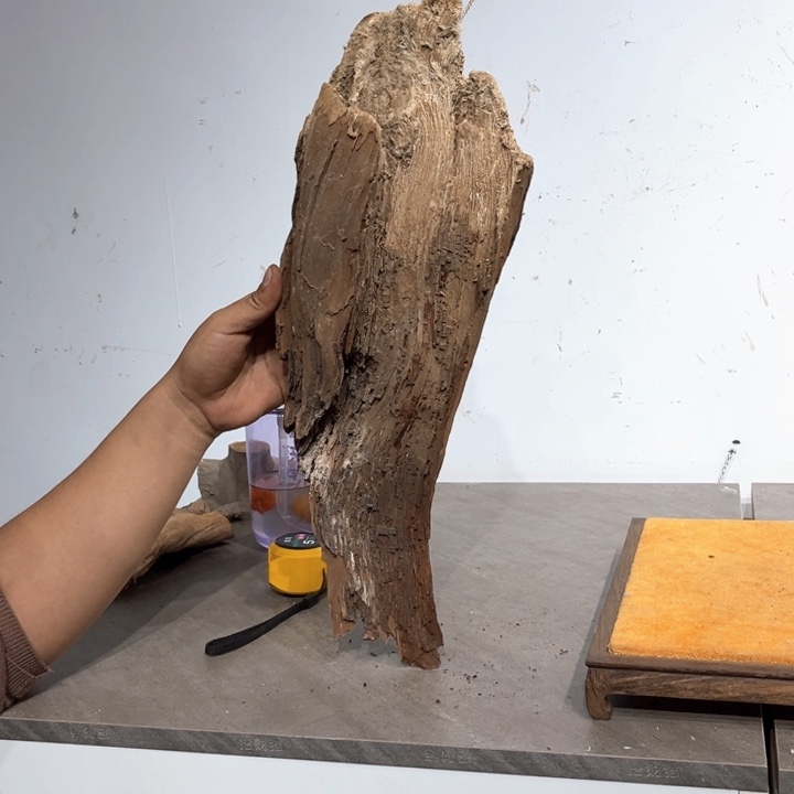 叶***明柏木崖柏等自然景和自然风光资源