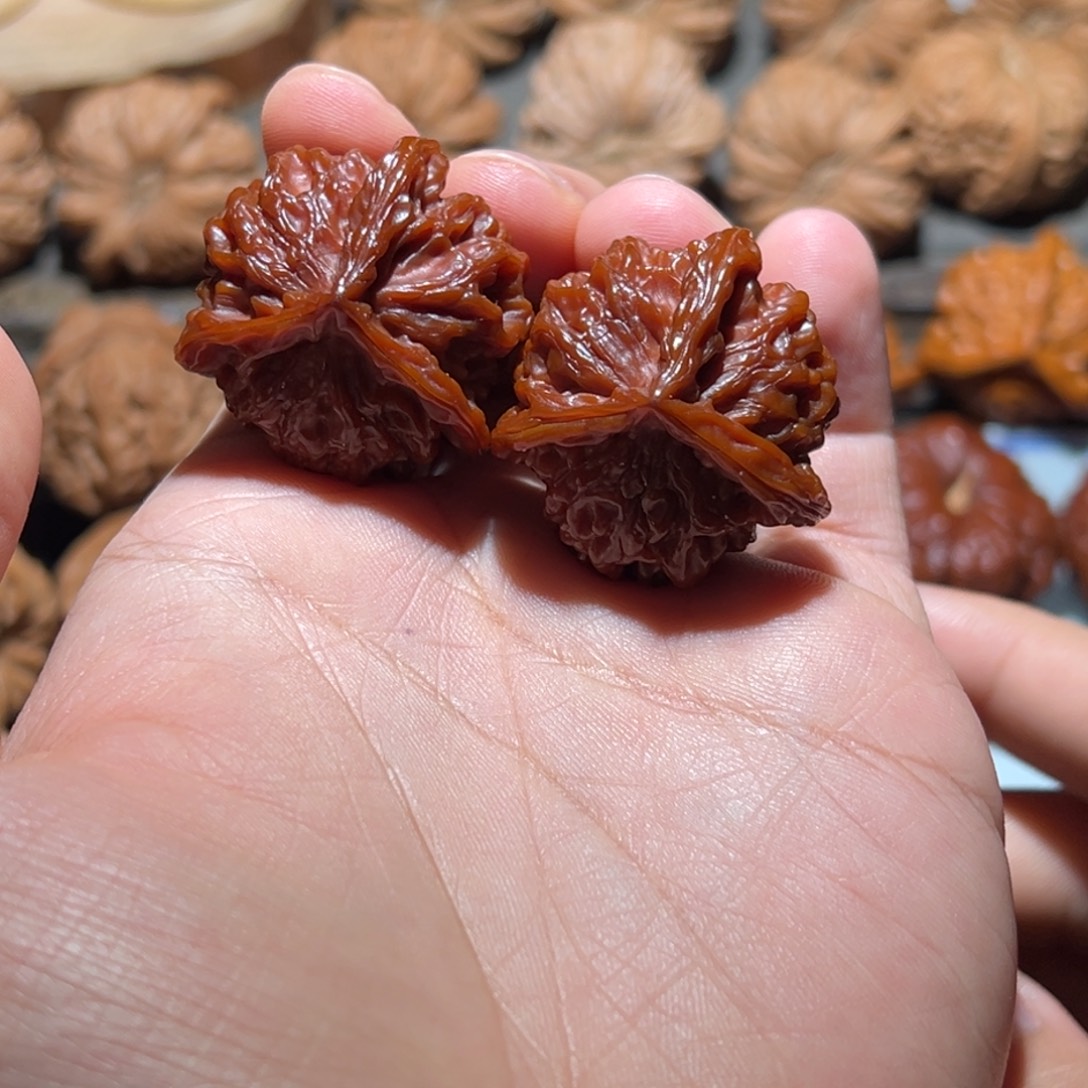 毕业玉化全品盘山三棱