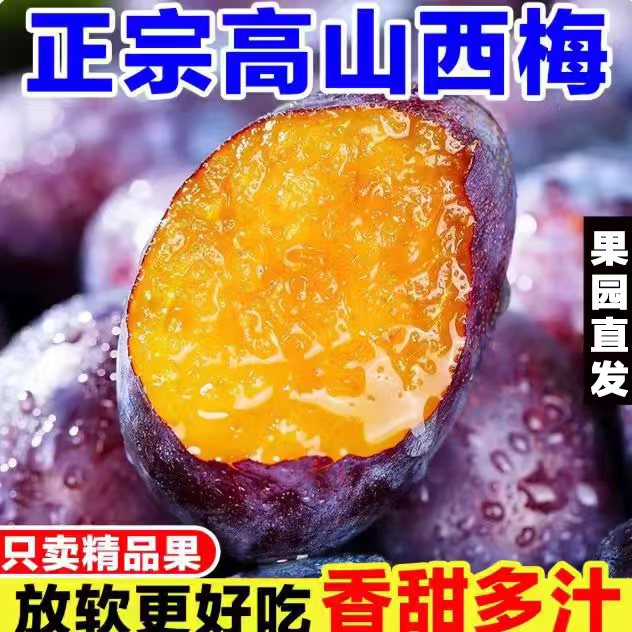 蓝密西梅新鲜水果脆甜大西梅李子水果当季整箱应季孕妇