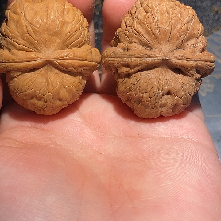 用***1手串/手链核桃41 元宝