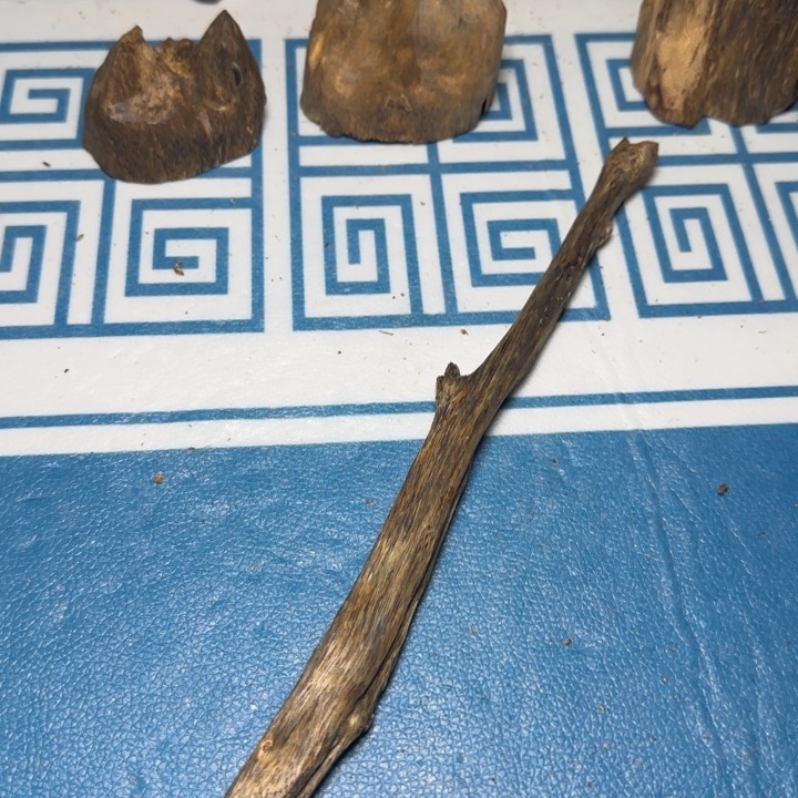 木质母树白奇树心油22克