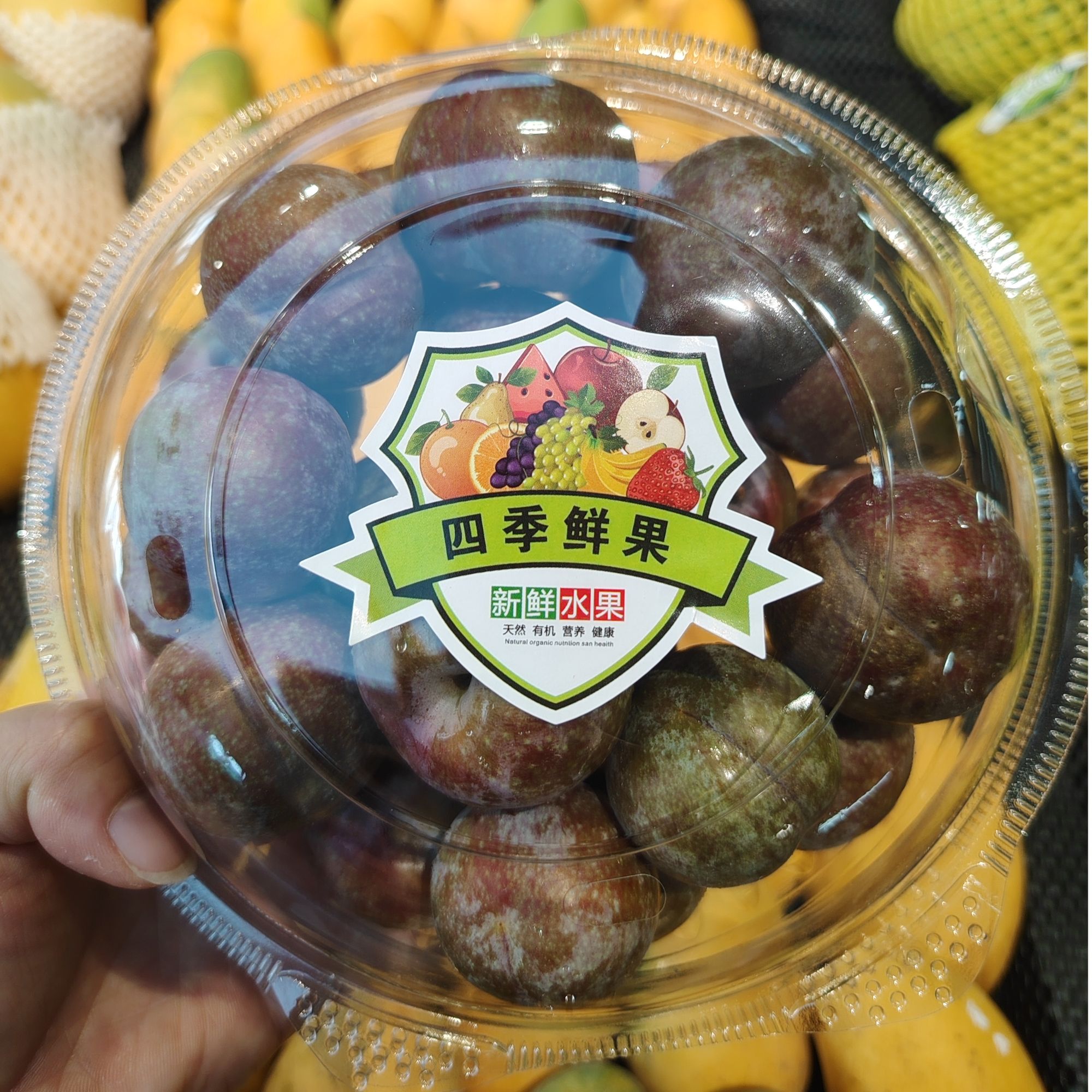 精品三华李子/盒约550-600g