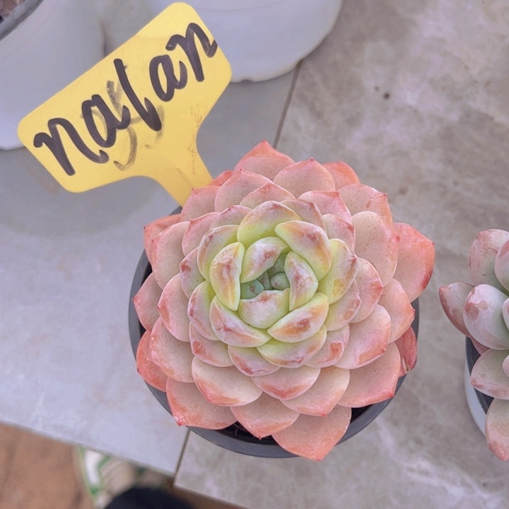 健健康康平平安安