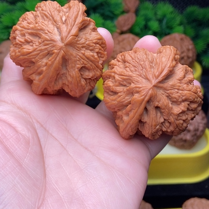 粗筋48.9全品111111