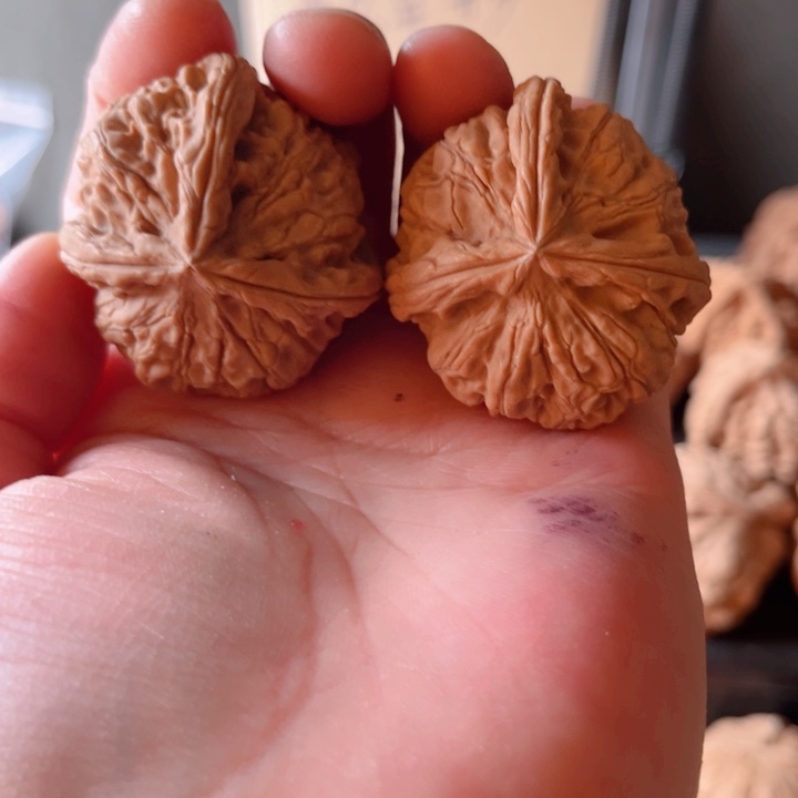 退***叔吊坠文玩核桃文玩