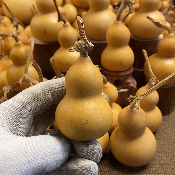 文玩葫芦 完美主义者 慎拍32