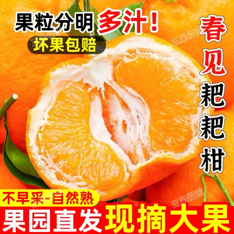 四川头茬春见耙耙柑新鲜爆汁多汁爽口细腻自然熟水果