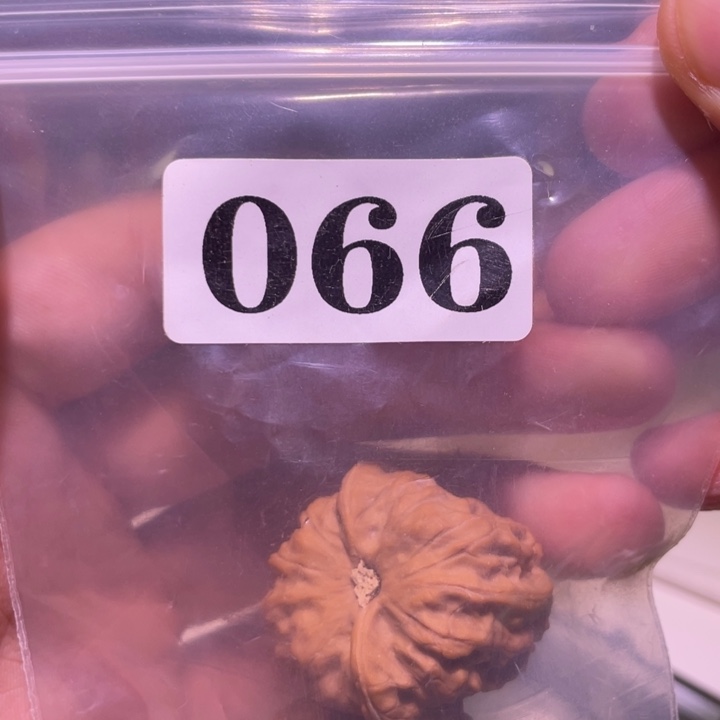 娜***拉吊坠文玩核桃066门头沟