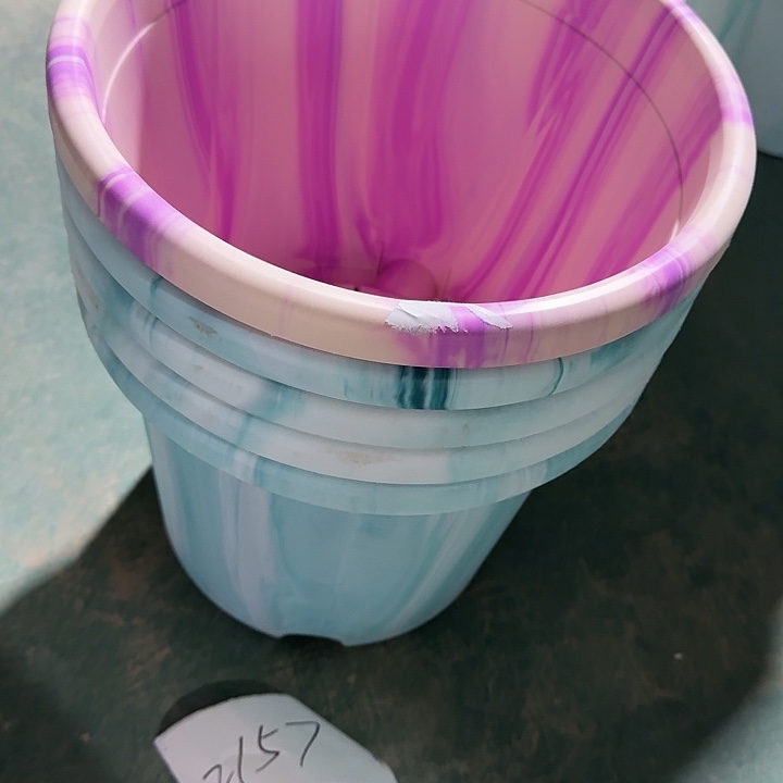 编号编号编号2157