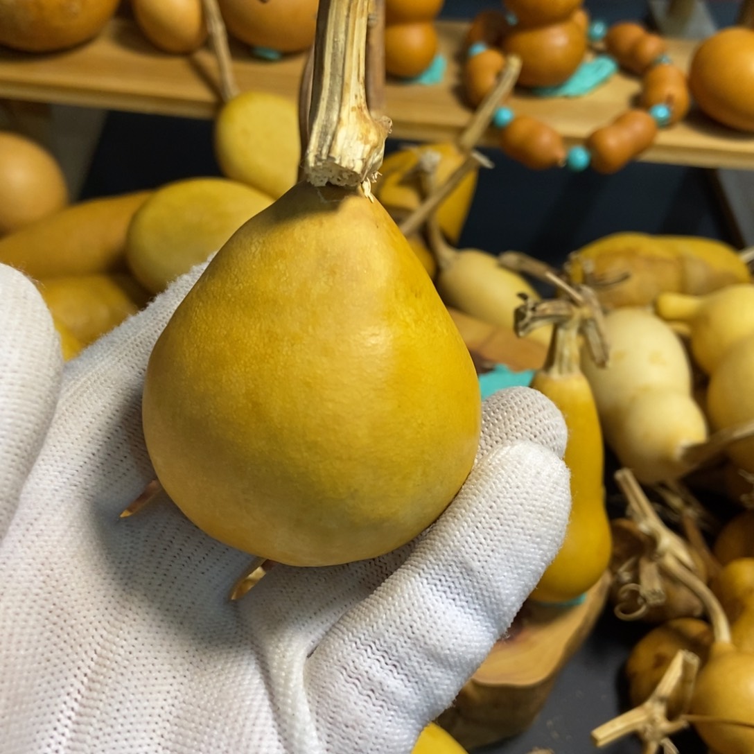 酒**子葫芦葫芦真的