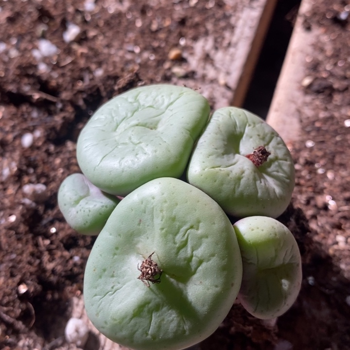 24137一个一个一个