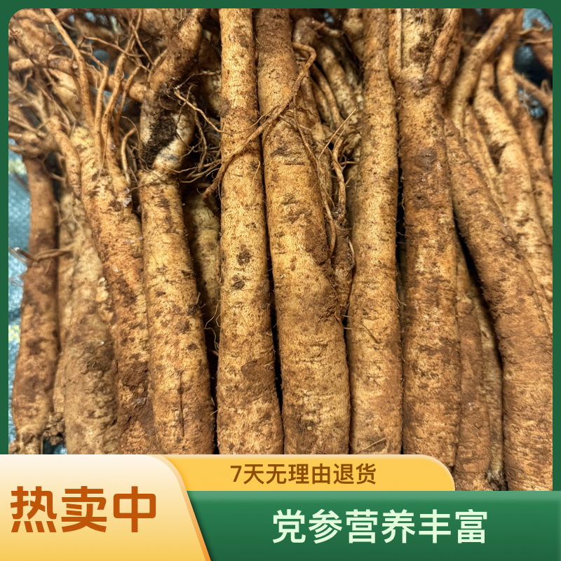 党参产地直发‘ 鲜大条煲汤泡酒优选