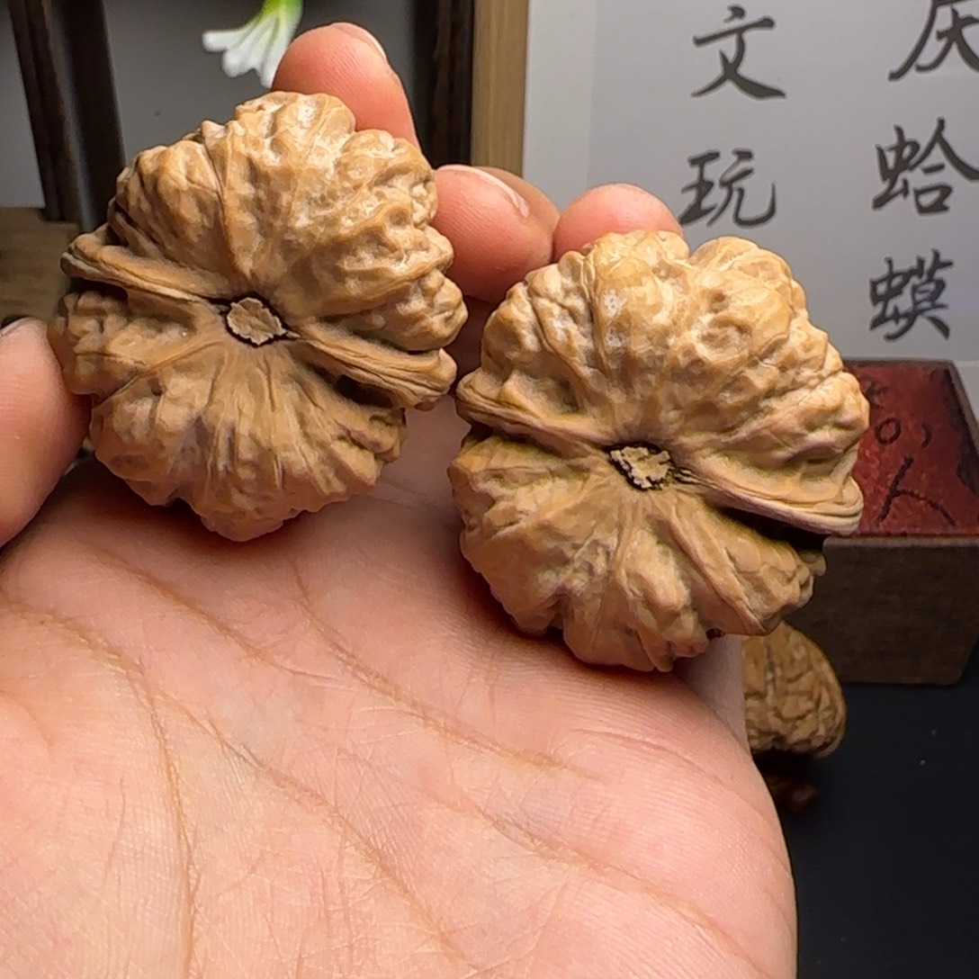 黑***舍蛤蟆头42✖️45尺红皮