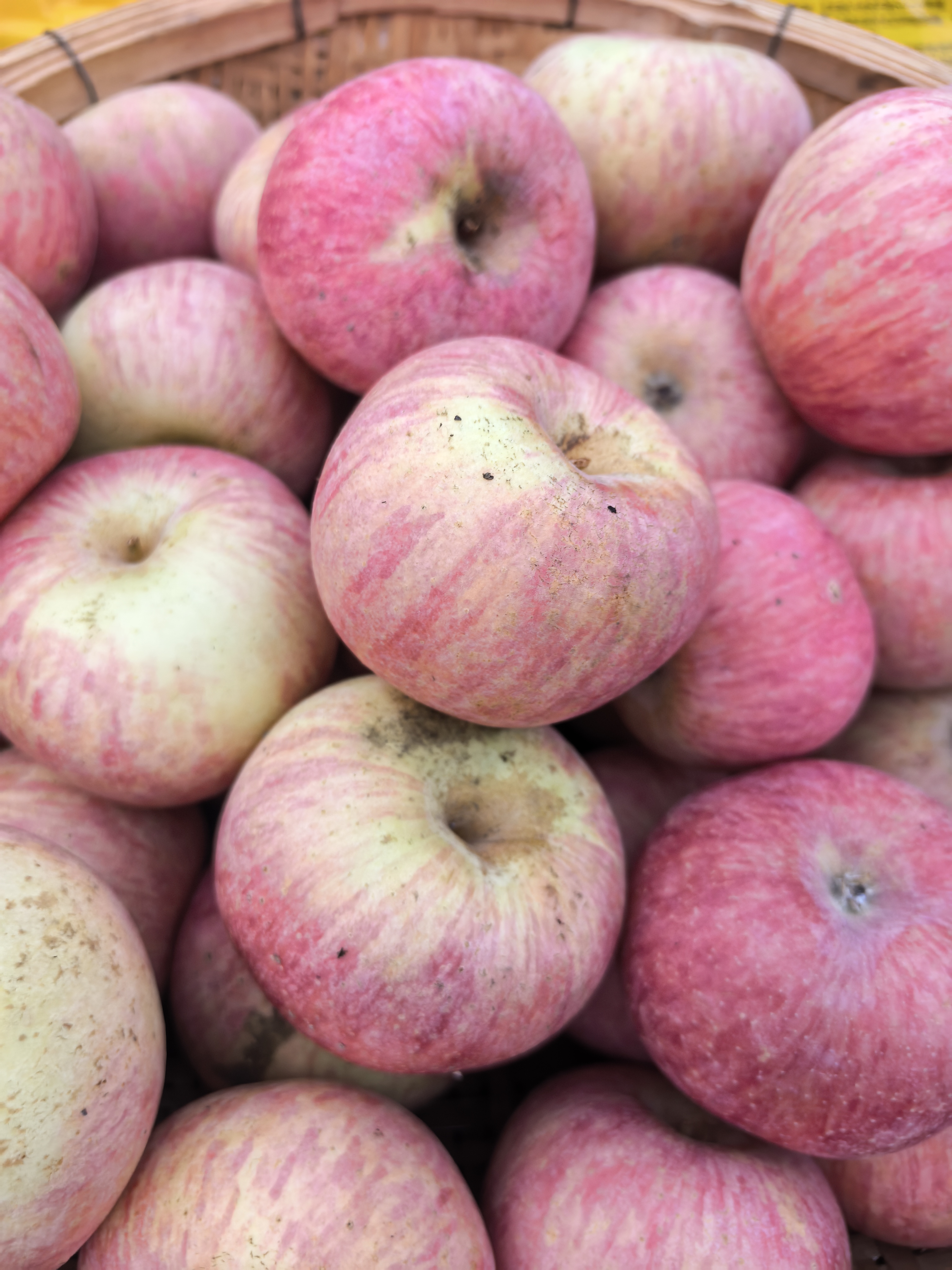 山东直发国光苹果新鲜脆甜多汁现摘水果