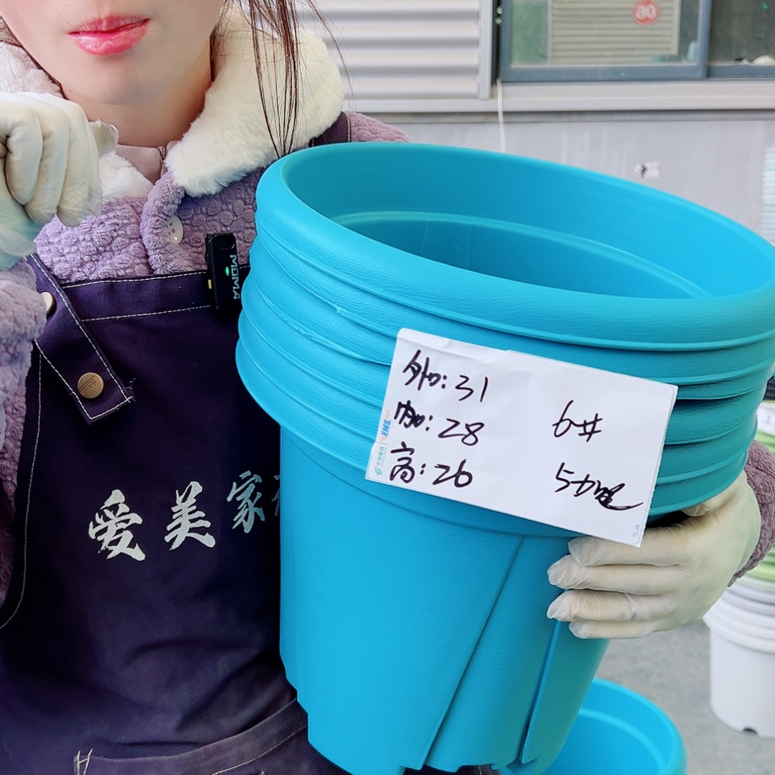 瑕疵青山盆6#蓝色6个无托