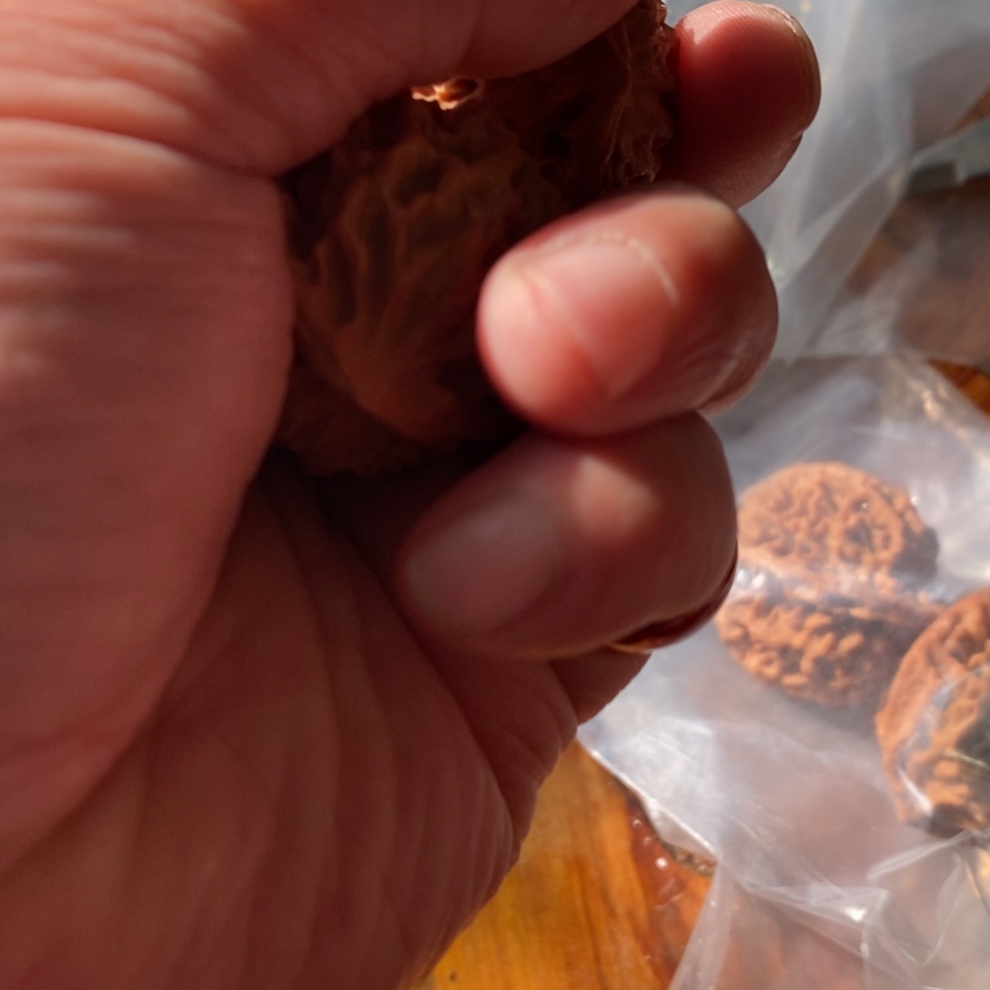 秦岭南侧和东北北部分别