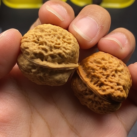 文玩核桃把件31尺小青蛙