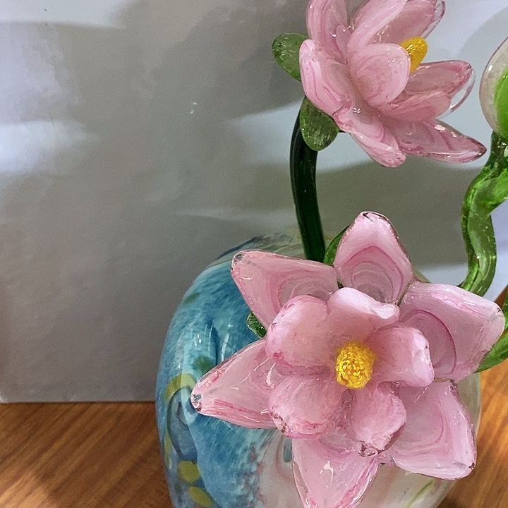 夜光花高45宽12厘米