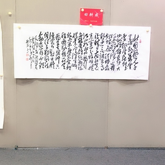 书法田耕成书法作品欣赏