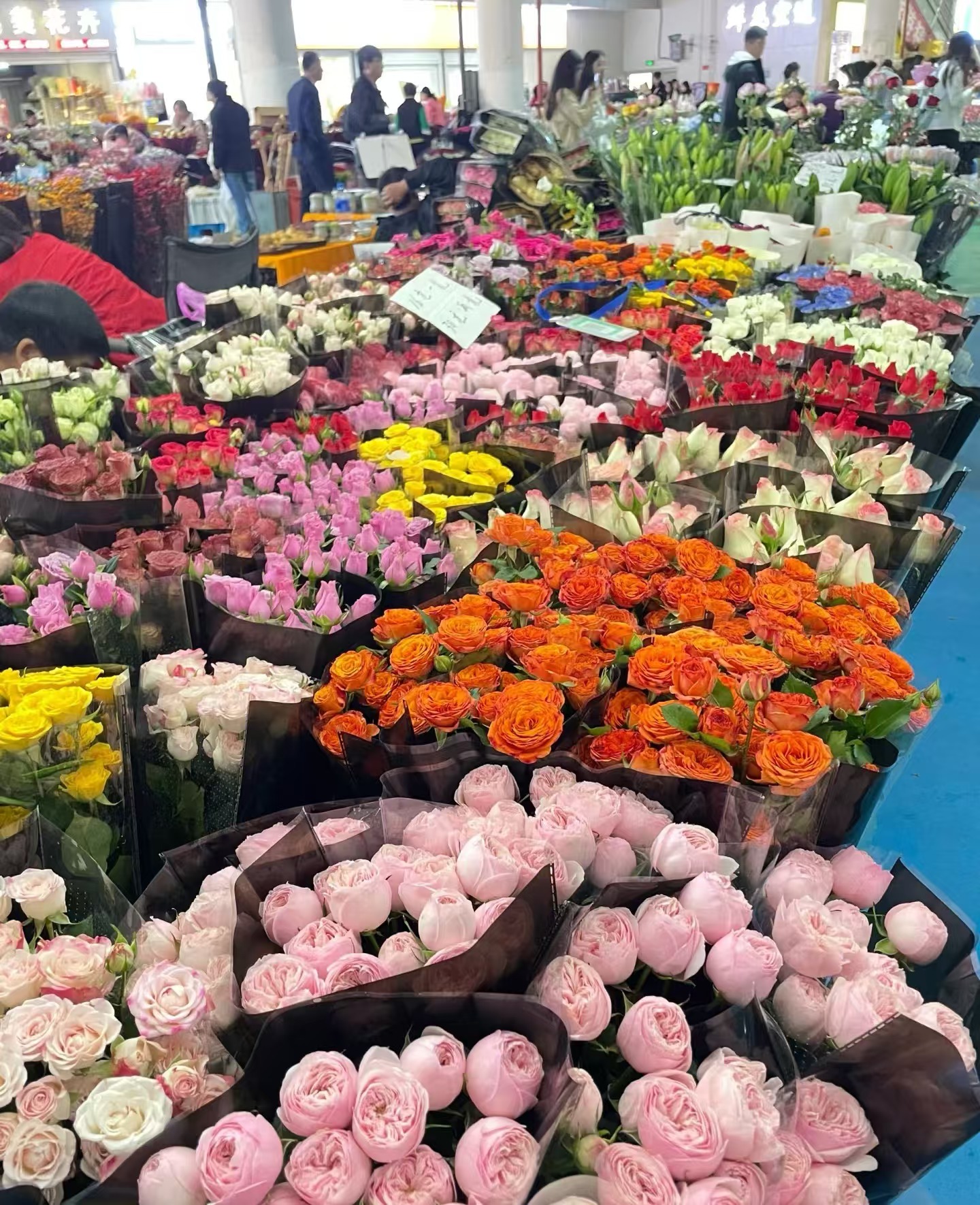 【超级福袋】不指定鲜花一扎