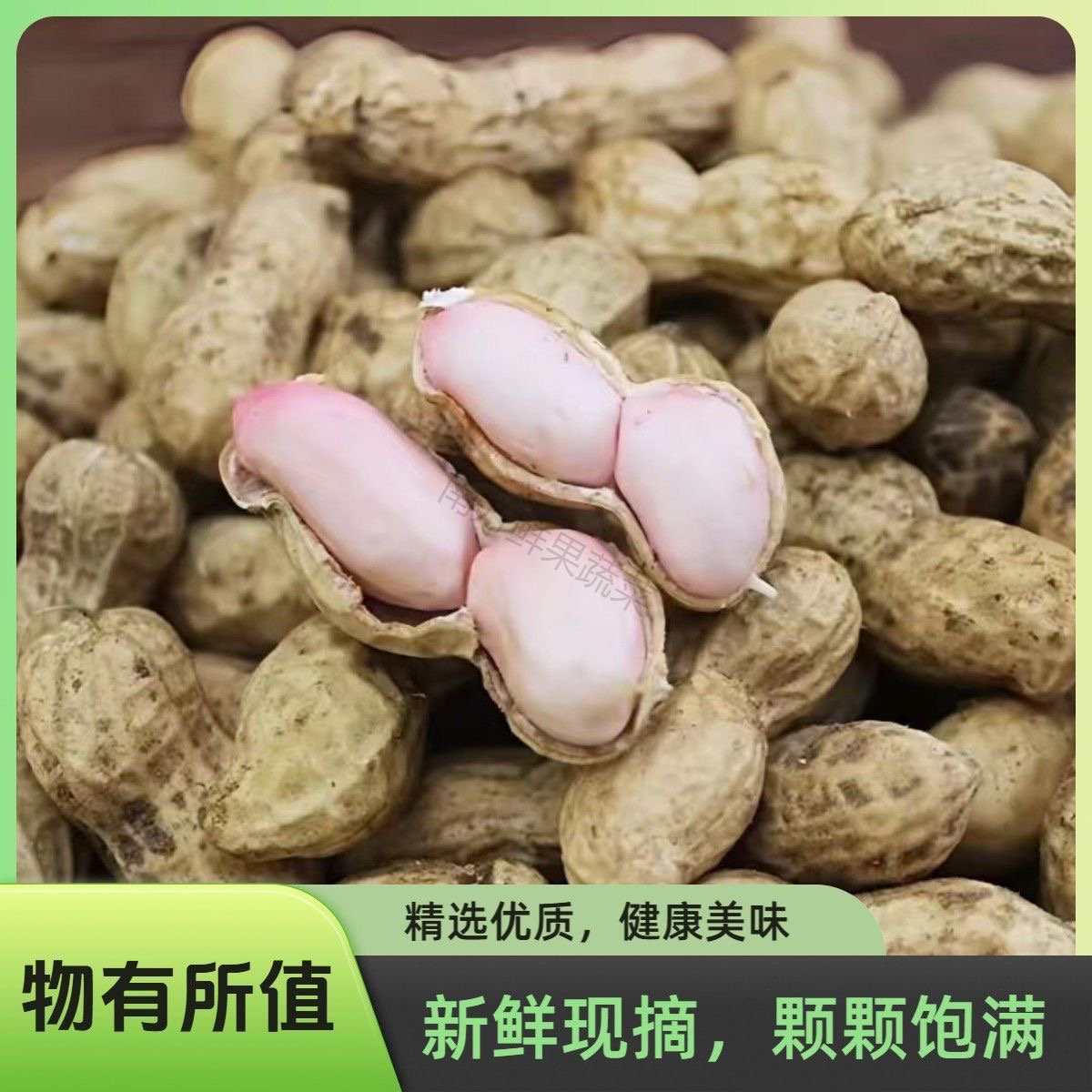（现挖现发）2025河南头茬新鲜湿花生