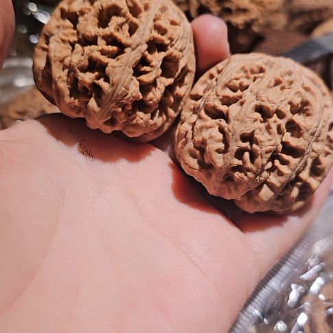 文玩核桃吊坠44粗筋