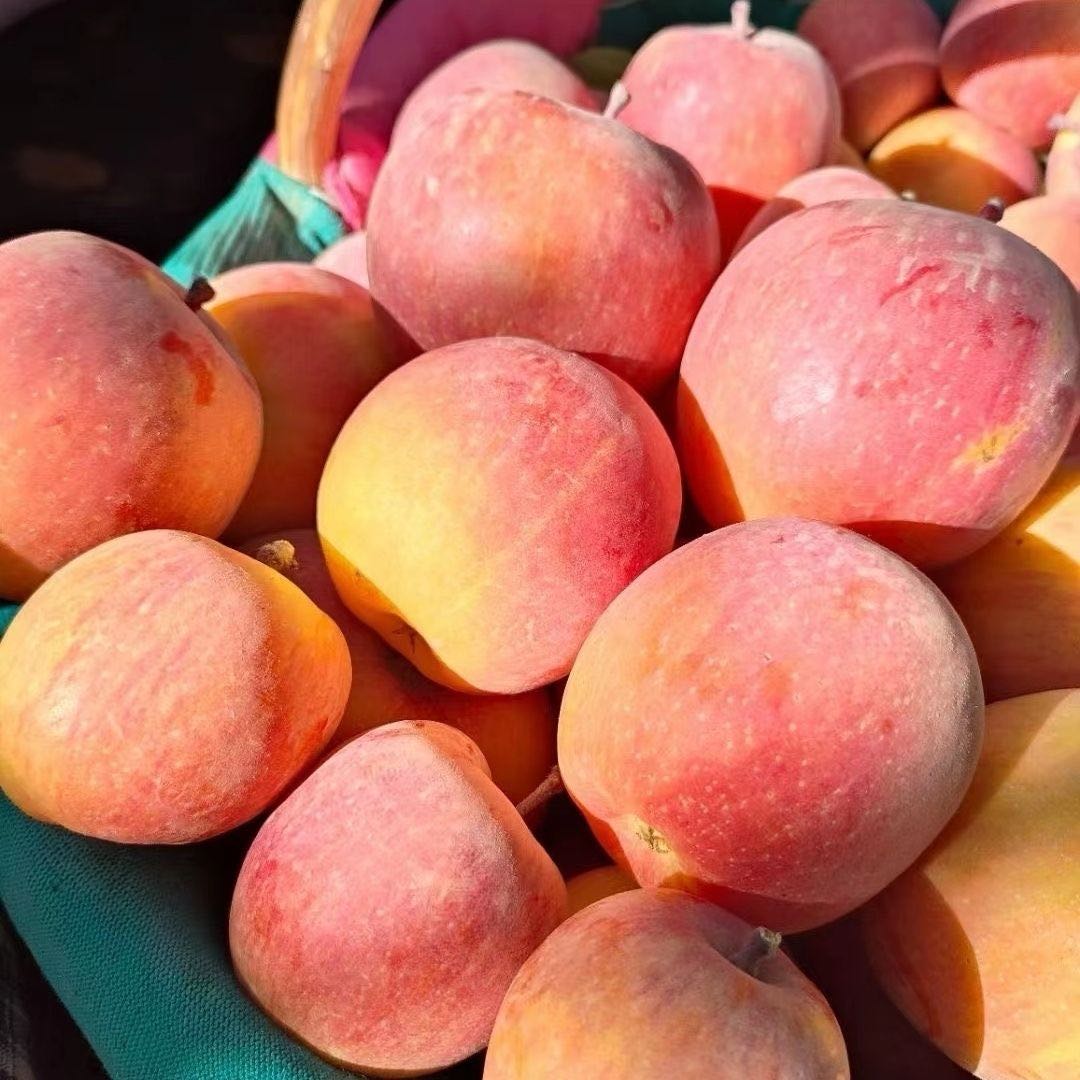 新疆阿克苏苹果 500g 顺丰次日达阿克苏苹果新疆维吾尔自治区