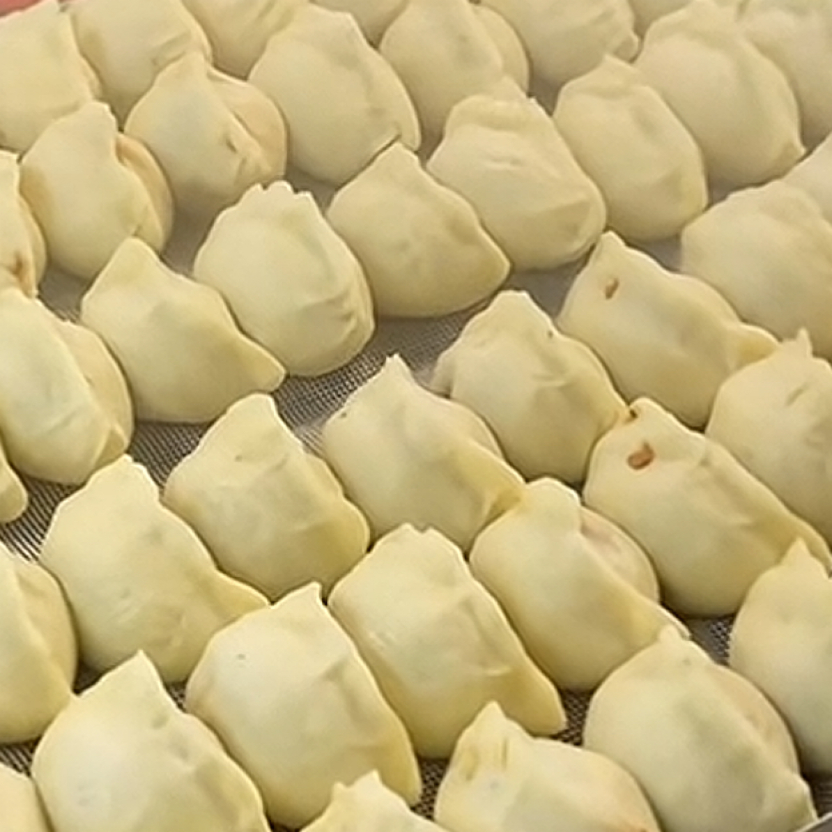 【牛肉蒸饺】清真包子大蒸饺 发20个 中秋国庆热卖 包邮 现做现发