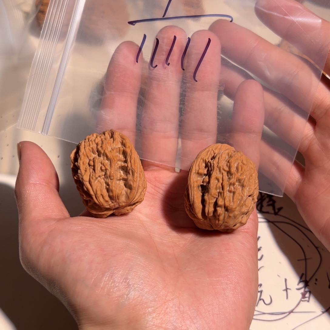 核桃手串/手链11111