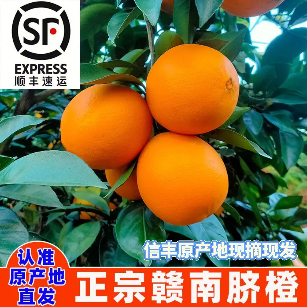 【顺丰包邮】正宗赣南脐橙新鲜采摘信丰安西产地直发汁水饱满礼盒装
