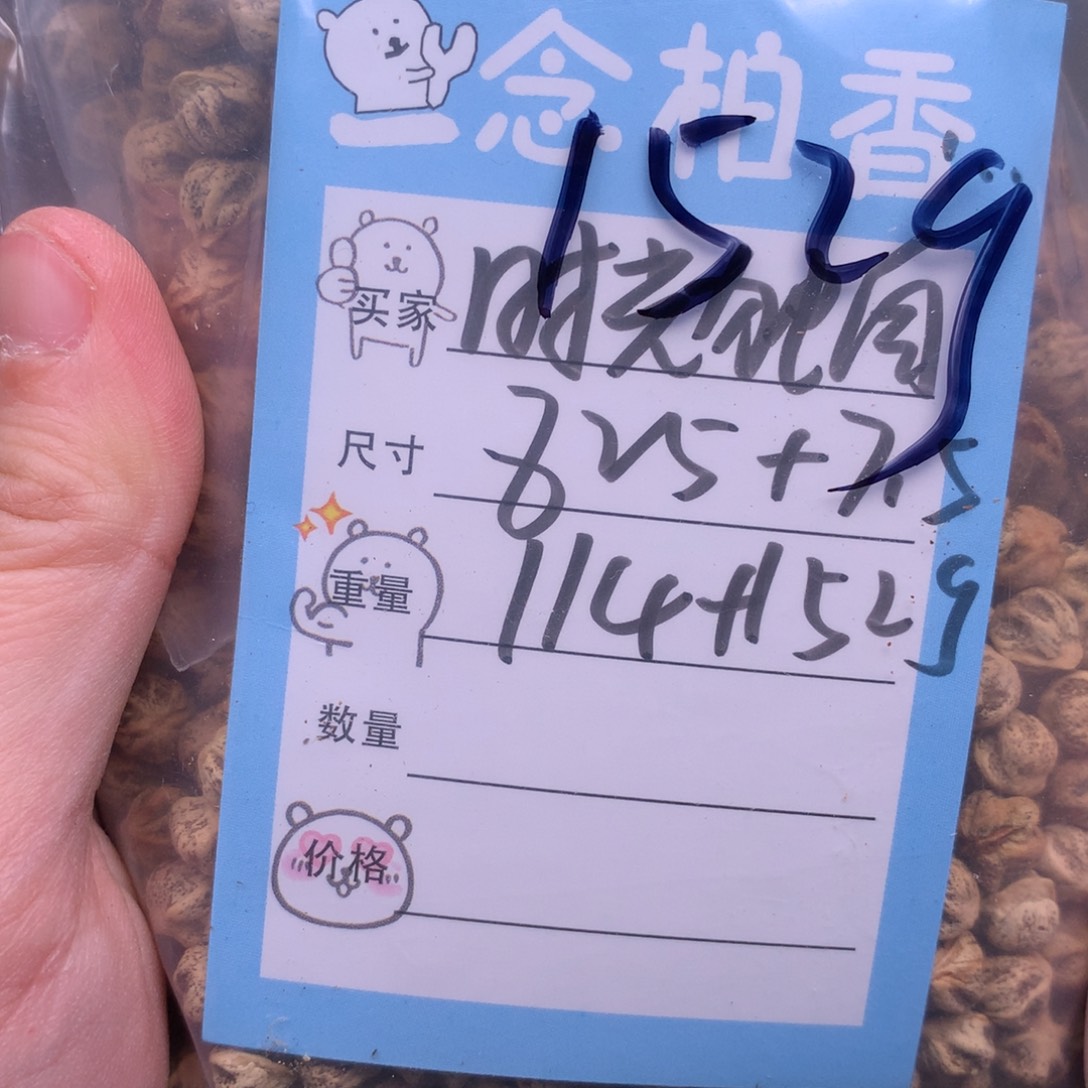 时***待柏香籽/百香籽吊坠