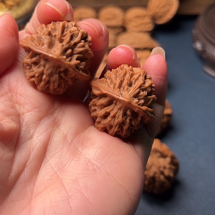 遥***先木桃树栽培及其他树木