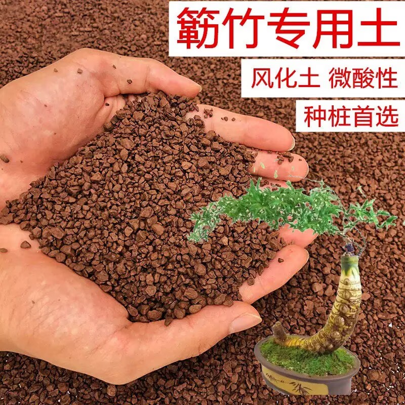 簕竹土养花颗粒土酸性红土适合多种盆景植物的专用种植土大天拓