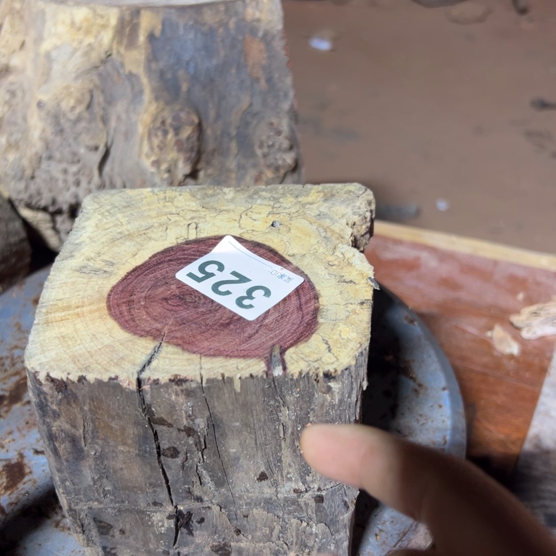 大果紫檀（缅甸花梨）