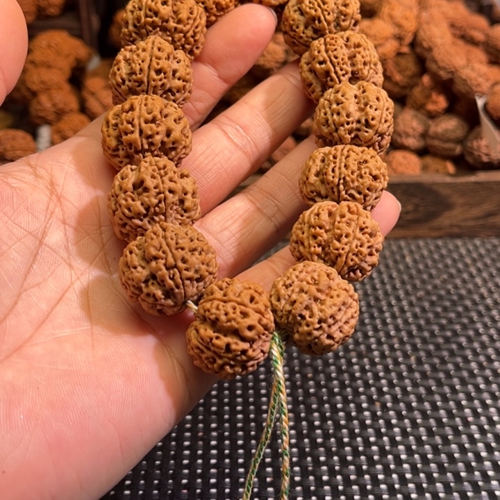 苍***龙手串金刚菩提梅花