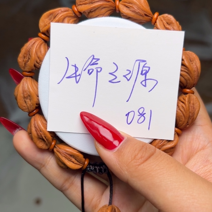 木质类秦岭龙纹桃核生命之源