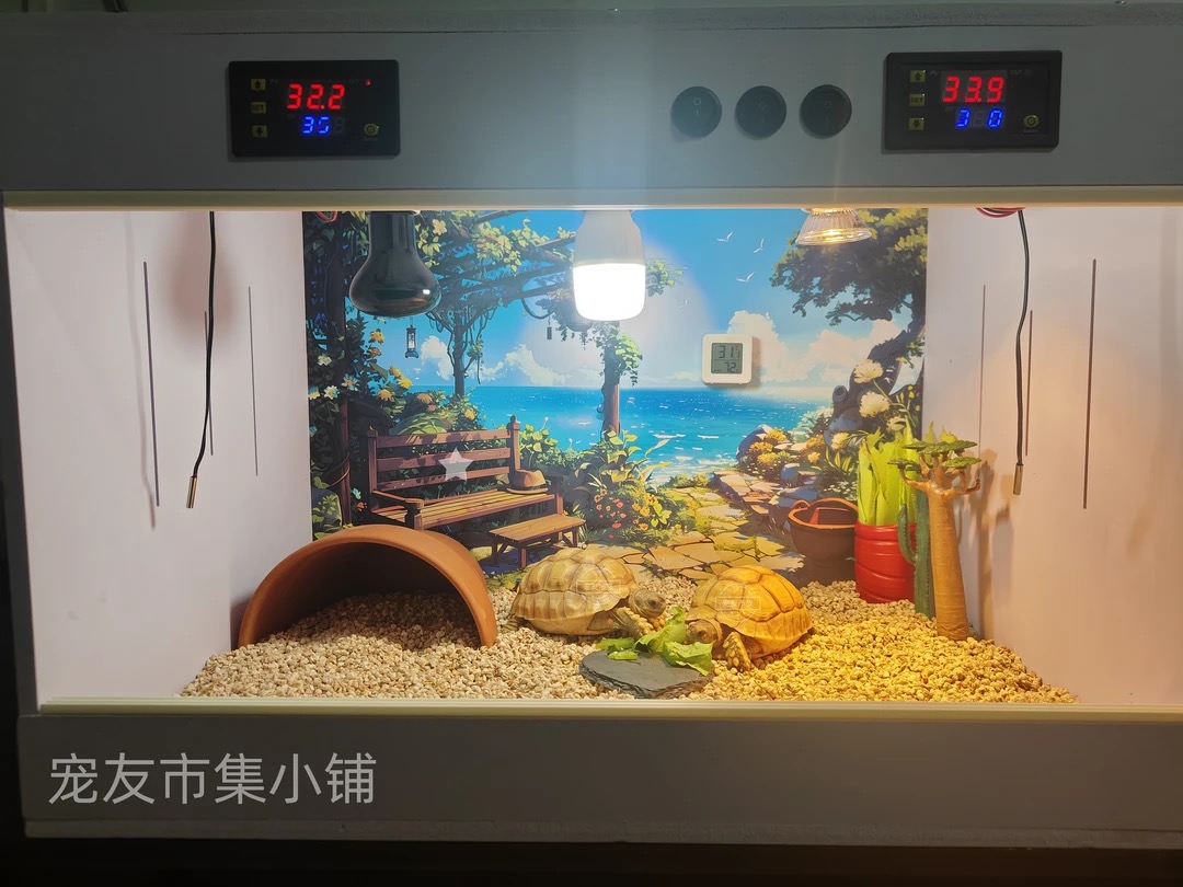 龟龟的家 双温控60*40*40 直播间1对1挑选