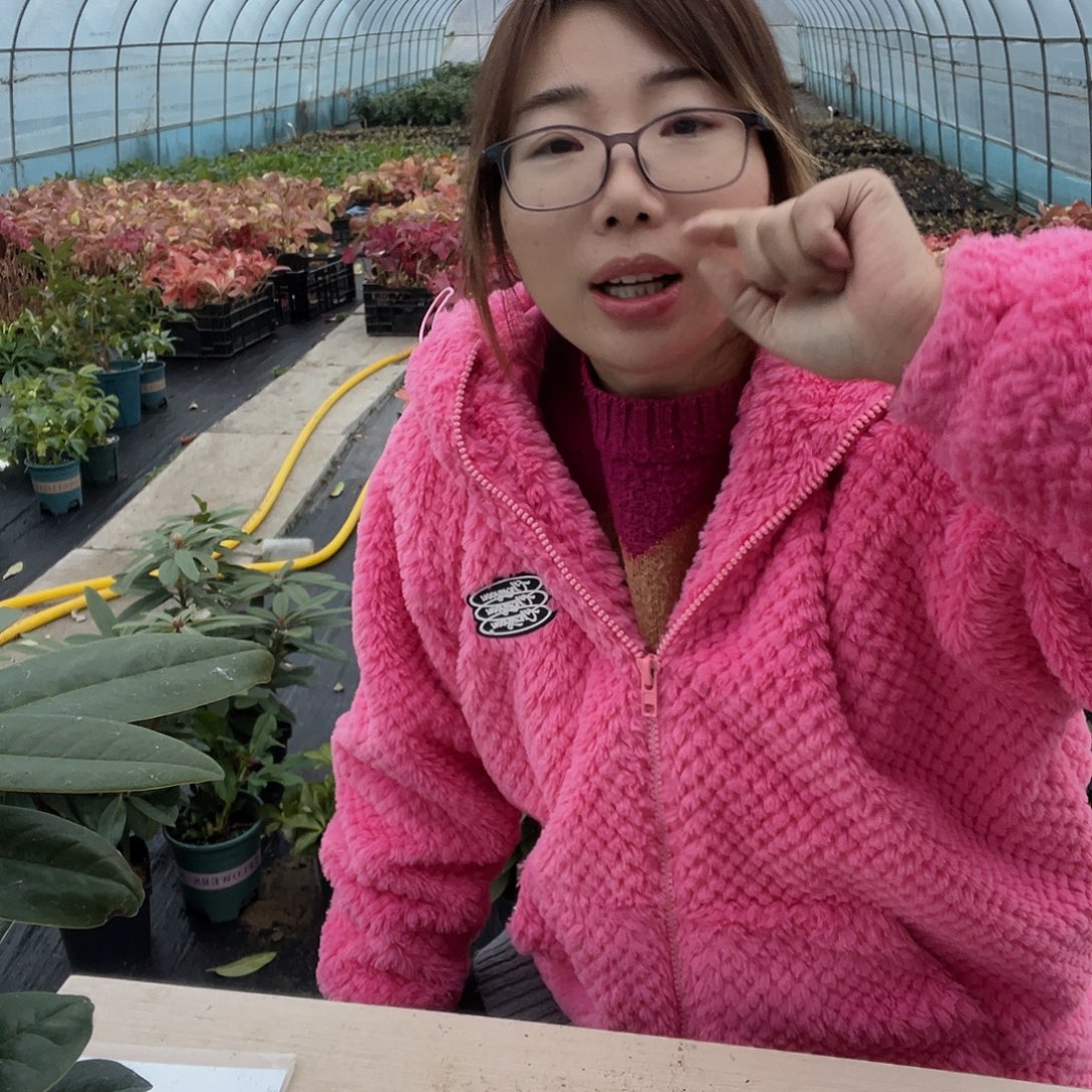 无花朵贵妇人哈哈哈哈