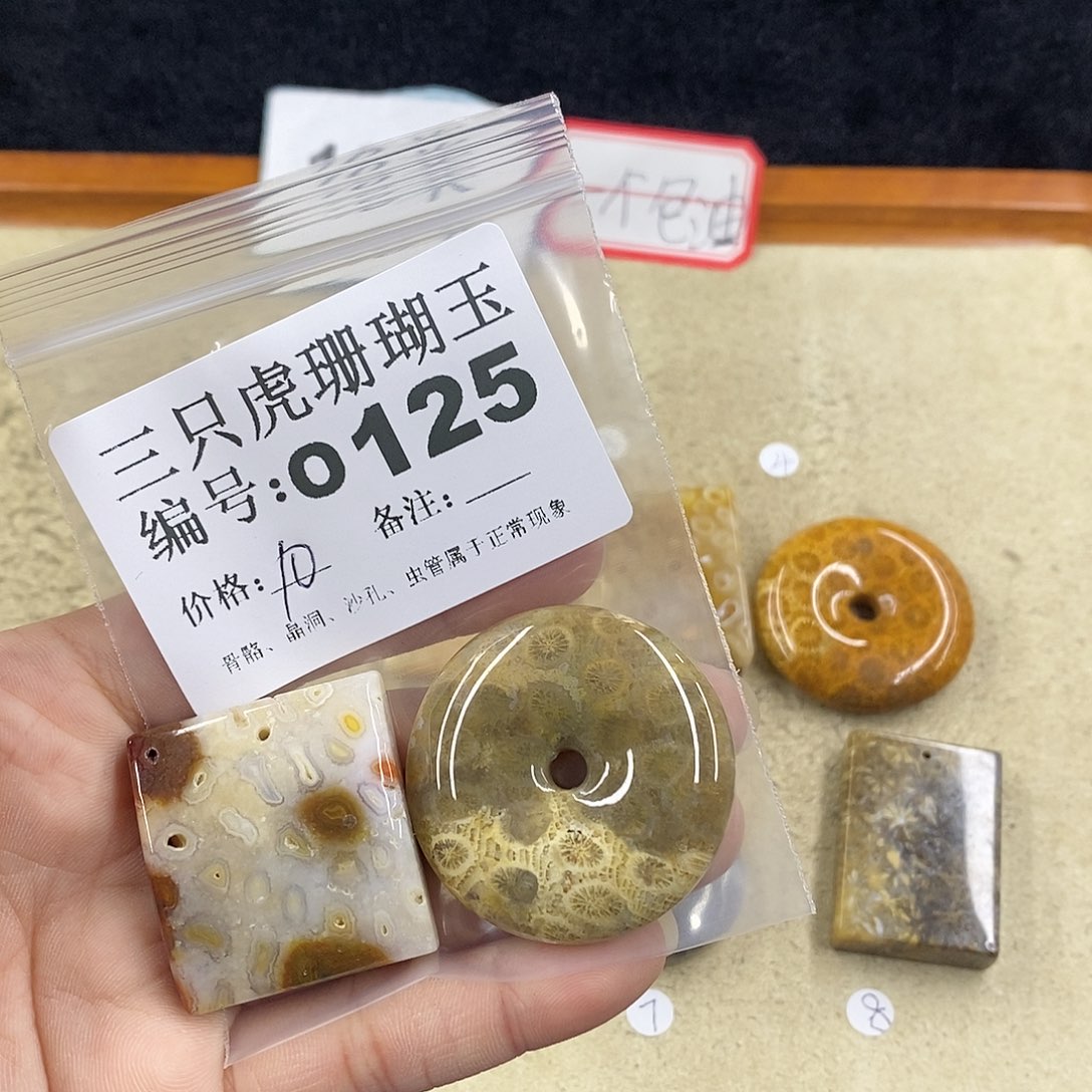 硅化珊瑚（珊瑚玉）1未镶嵌家****！