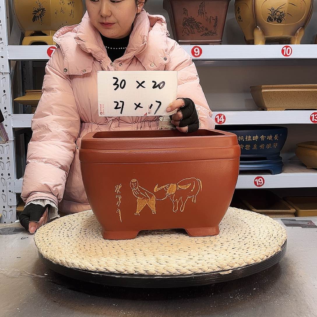紫砂花盆紫砂花盆