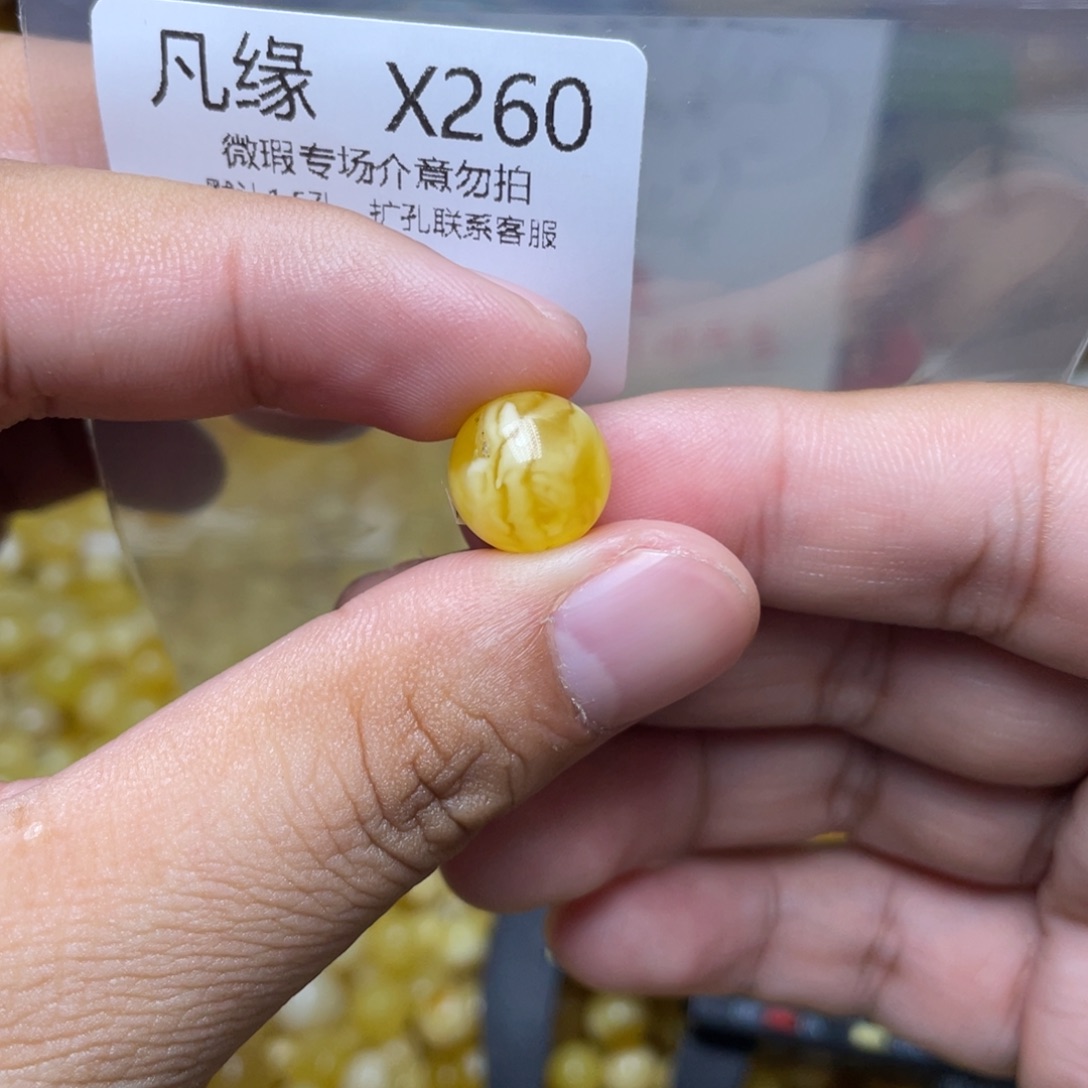 琥珀未镶嵌珠宝奇石燕*