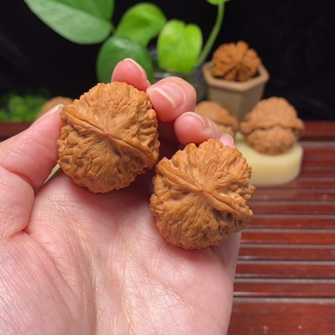 核桃33修尖龙眼元宝