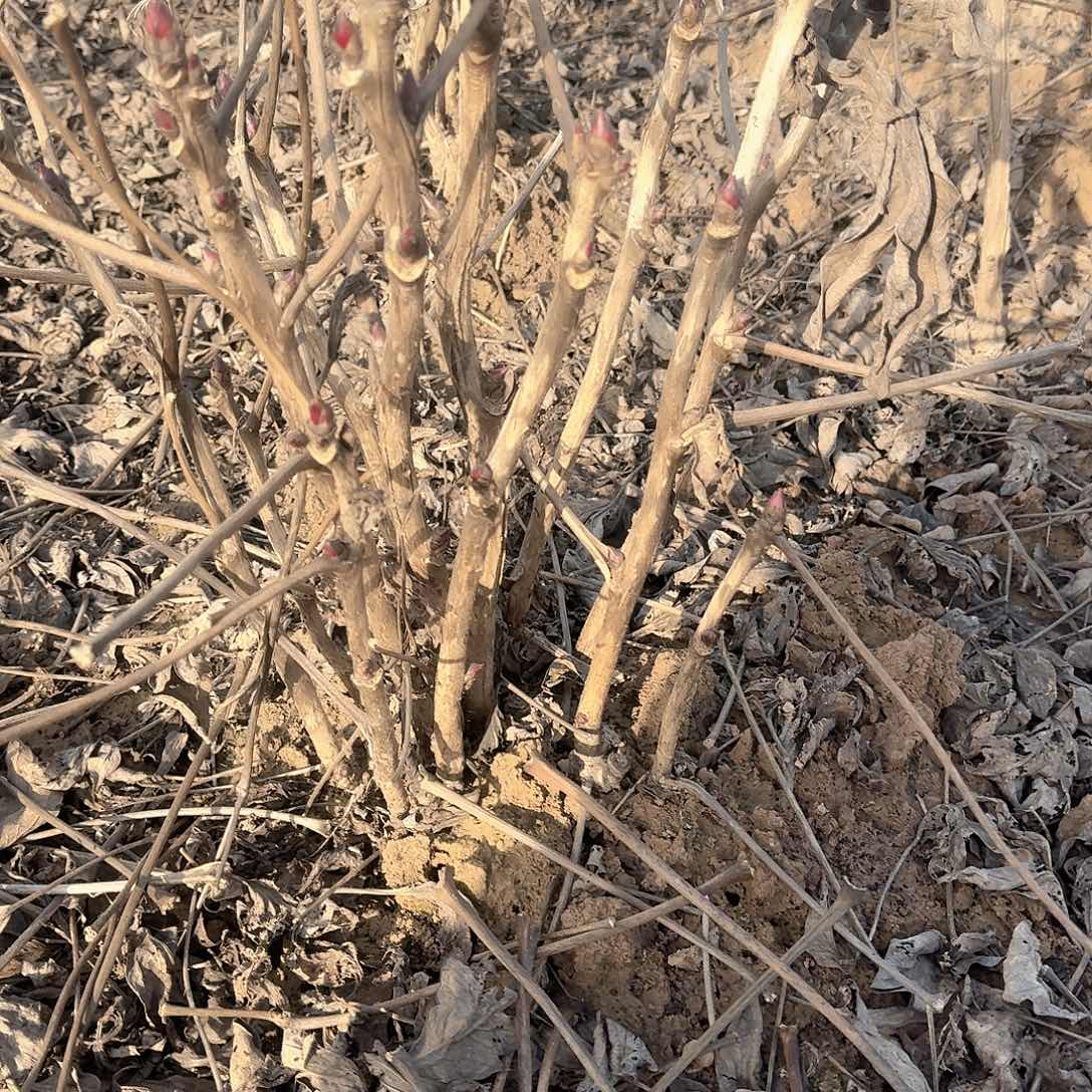 完全开放1111111111