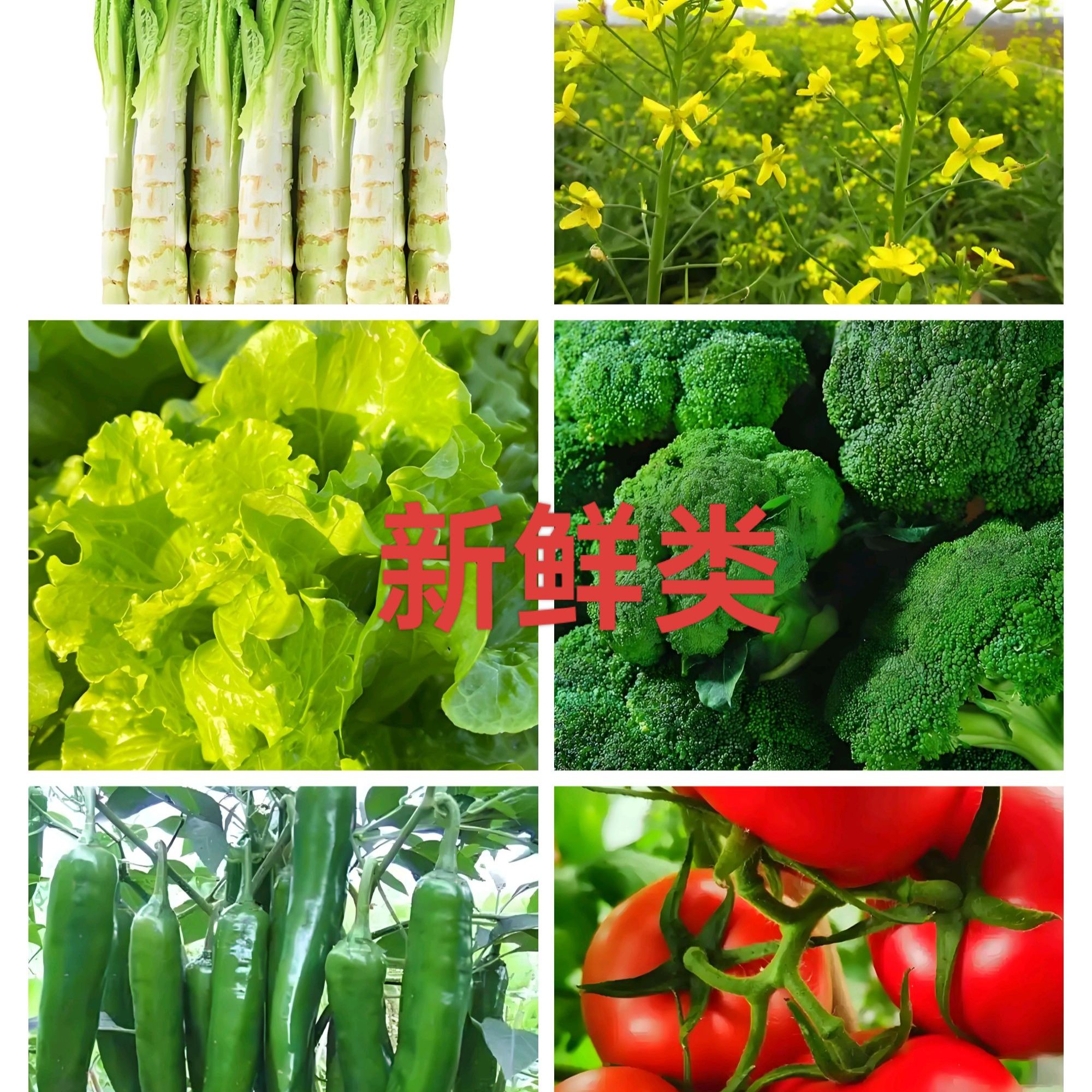 （山里人）农村自种新鲜蔬菜