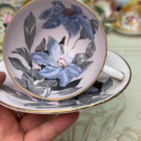 盘维多利亚欧洲中古