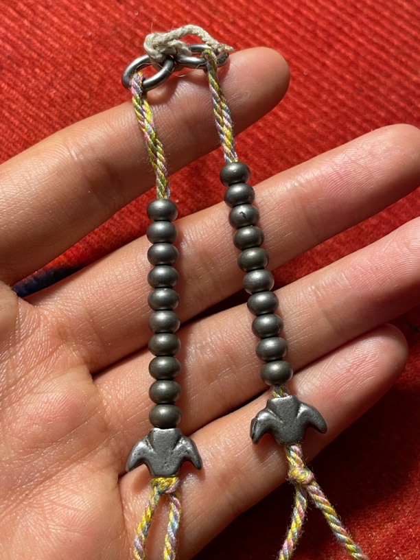 藏传寒铁鸟计数器