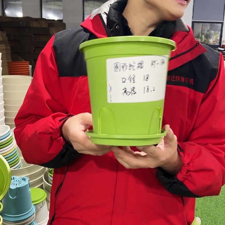 正品圆控口袋18高18果绿色10只带托